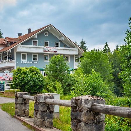Ski-Bike-Apartment Bayerwald Lohberg Exterior foto